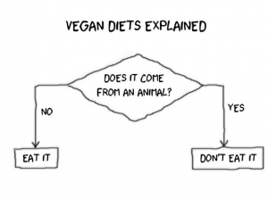 Vegan Diets Explained