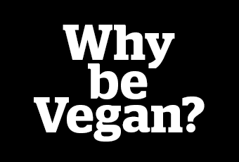 Why be Vegan?